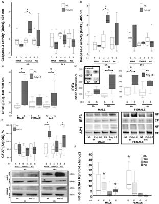 Evidence for Sexual Dimorphism in the Response to TLR3 Activation in the Developing Neonatal Mouse Brain: A Pilot Study